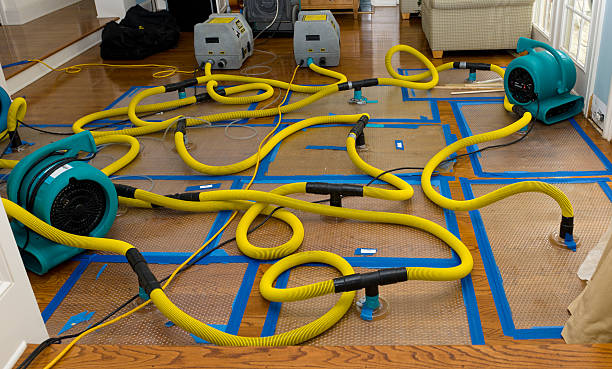 Professional Water Damage Repair technician working in Hope, MI